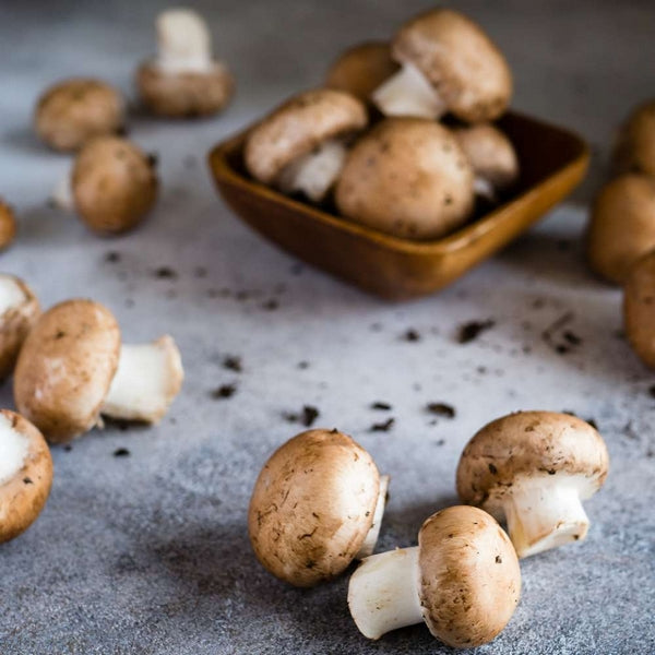 Fruits Et Légumes -- Champignons