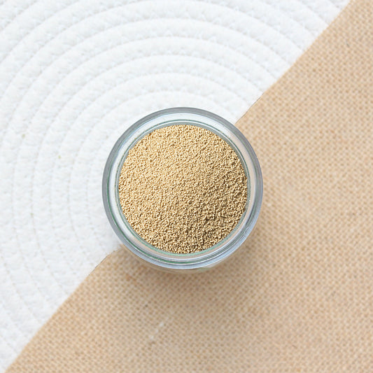Levure sèche active bio (pour panification) - 1